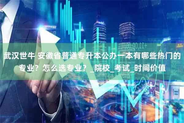 武汉世牛 安徽省普通专升本公办一本有哪些热门的专业？怎么选专业？_院校_考试_时间价值
