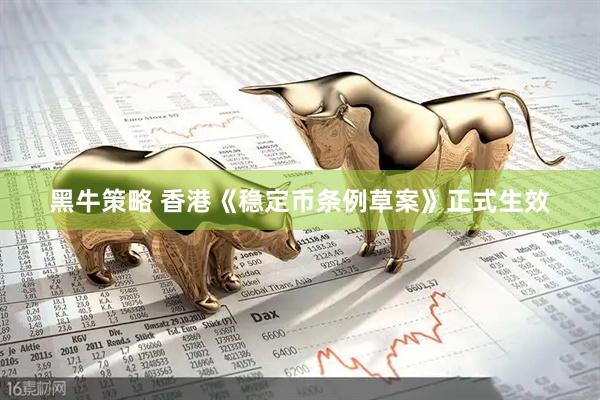 黑牛策略 香港《稳定币条例草案》正式生效
