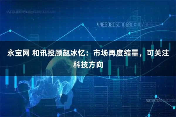 永宝网 和讯投顾赵冰忆：市场再度缩量，可关注科技方向