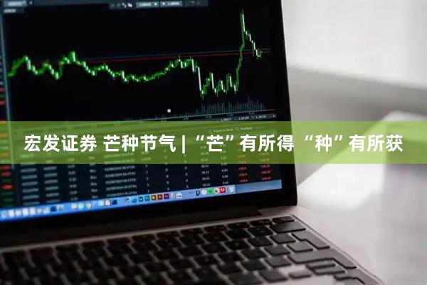 宏发证券 芒种节气 | “芒”有所得 “种”有所获