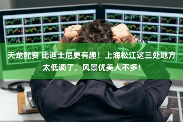 天龙配资 比迪士尼更有趣！上海松江这三处地方太低调了，风景优美人不多！