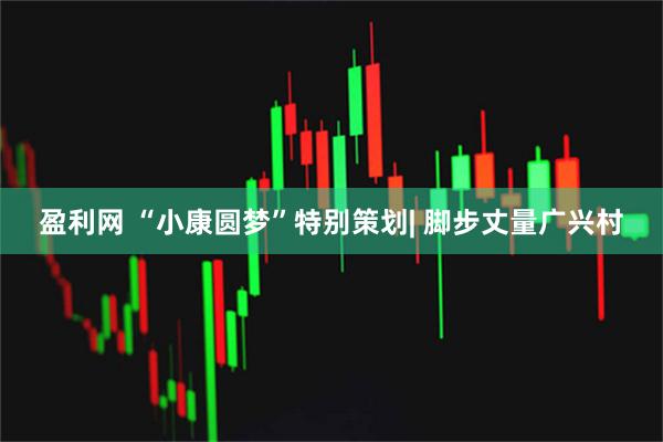 盈利网 “小康圆梦”特别策划| 脚步丈量广兴村